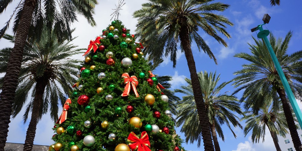 Christmas Traditions in Florida